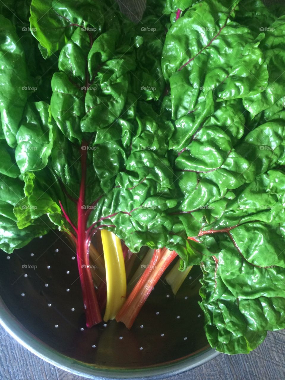 Rainbow Chard