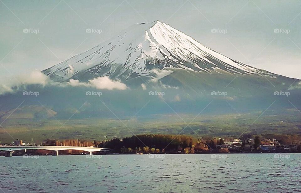 Fuji san