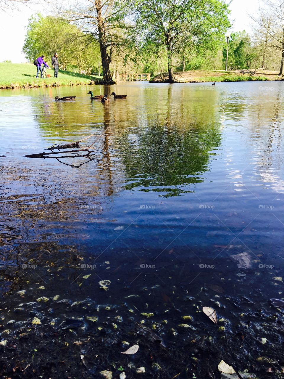 Water, No Person, River, Nature, Reflection