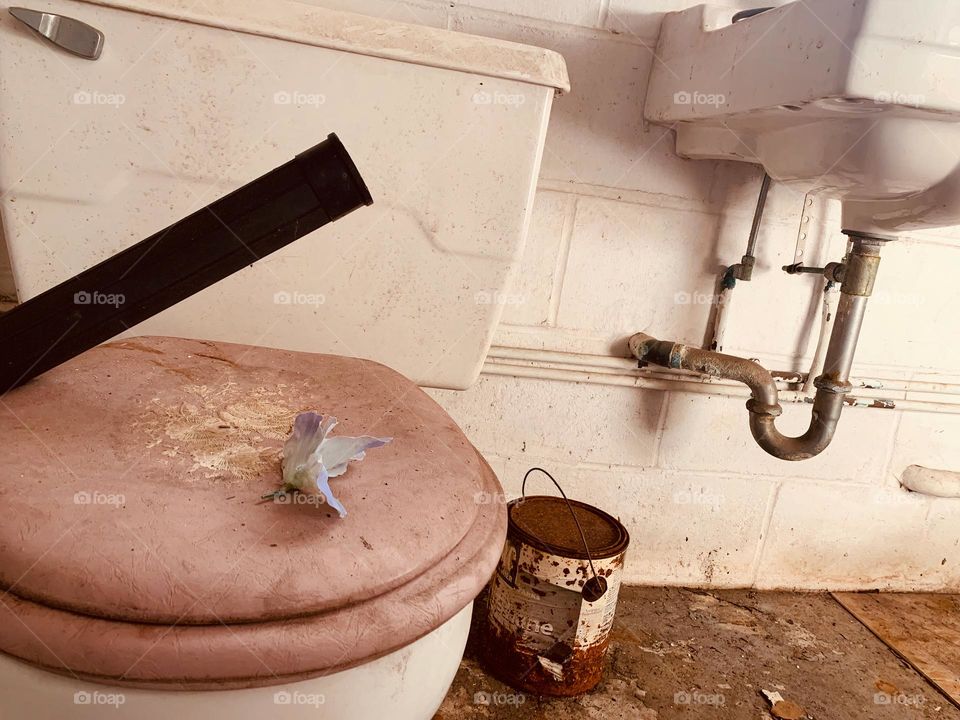 Abandoned And Needing To Be Restored Bathroom With Rusted And Destroyed Elements. 