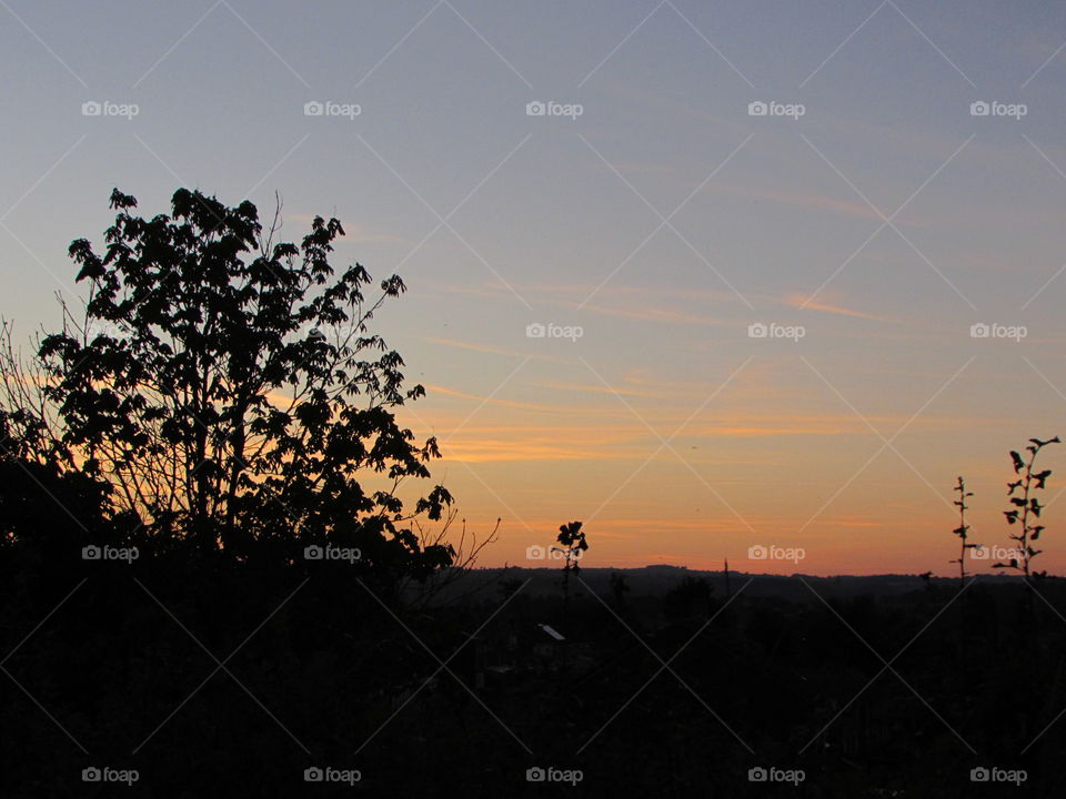 Silhouette, Tree, Landscape, Sunset, Light