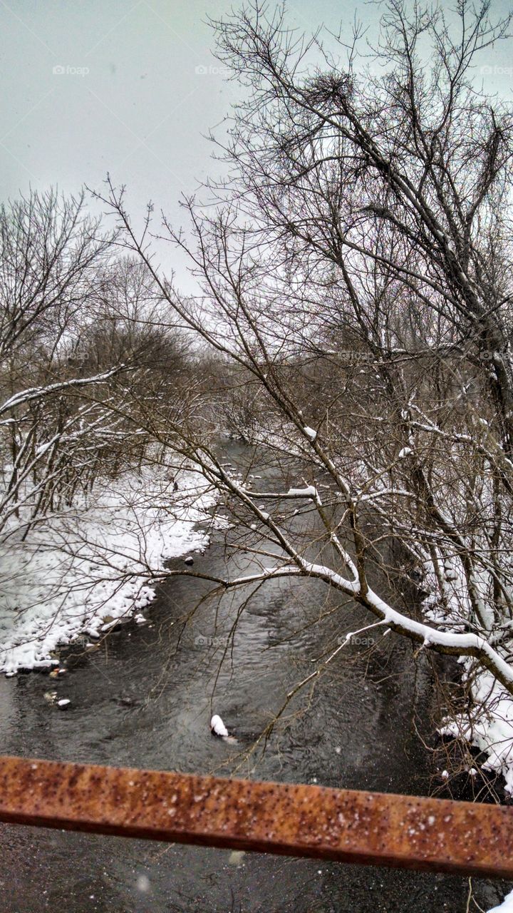 Snow covered Gwynns Falls