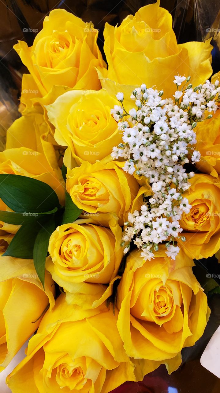 yellow roses