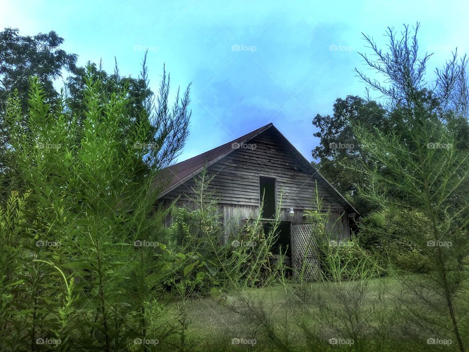 Strange Old Barn 