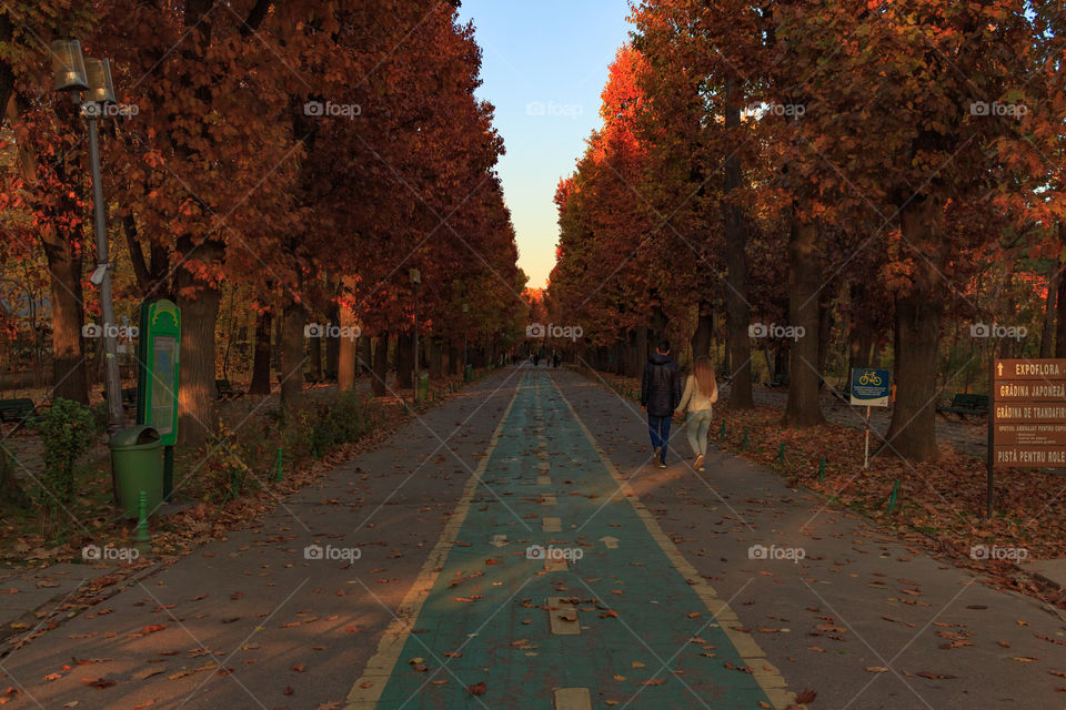 Couple walking in the park on a beautiful fall day