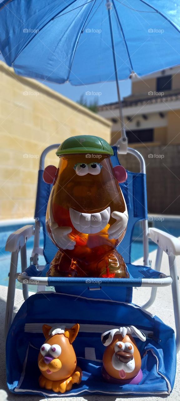 Mr potato y sus mascotas