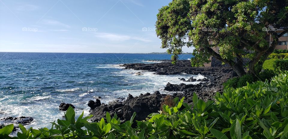 lava rock, foliage,  Hawaii, ocean