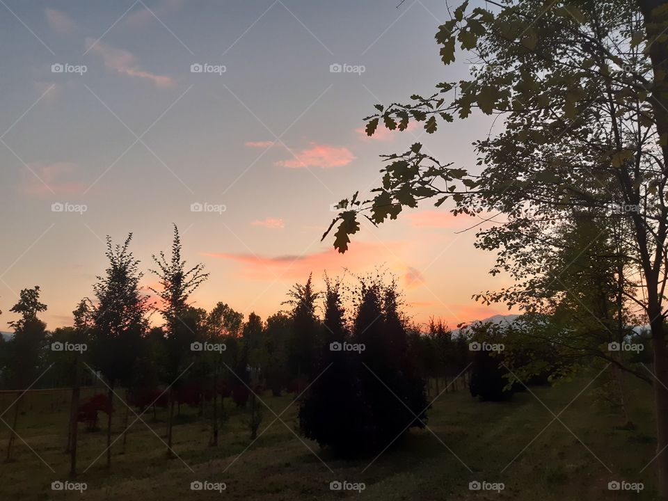 sunset in the country