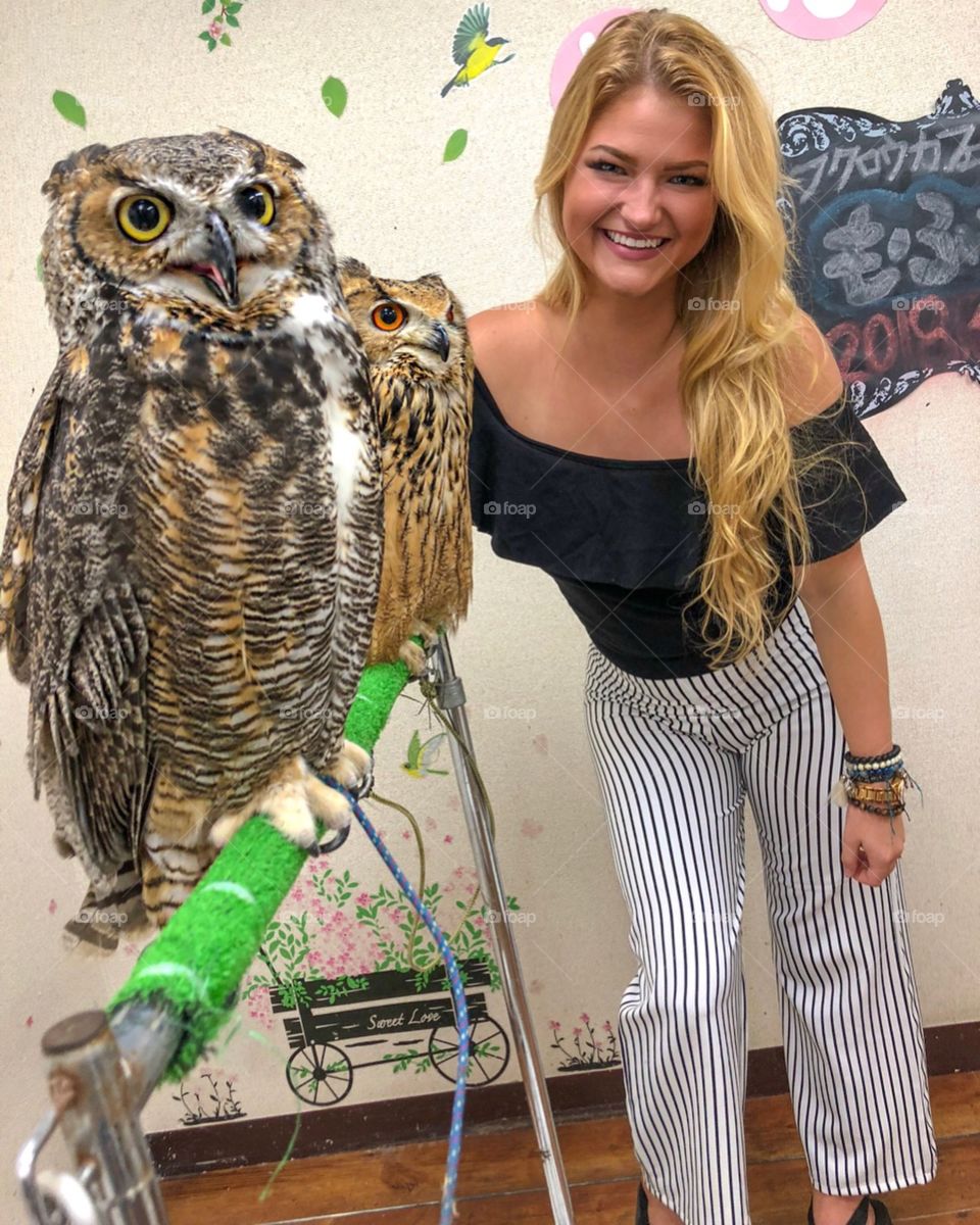At an owl cafe in Tokyo, Japan. They are such beautiful creatures!