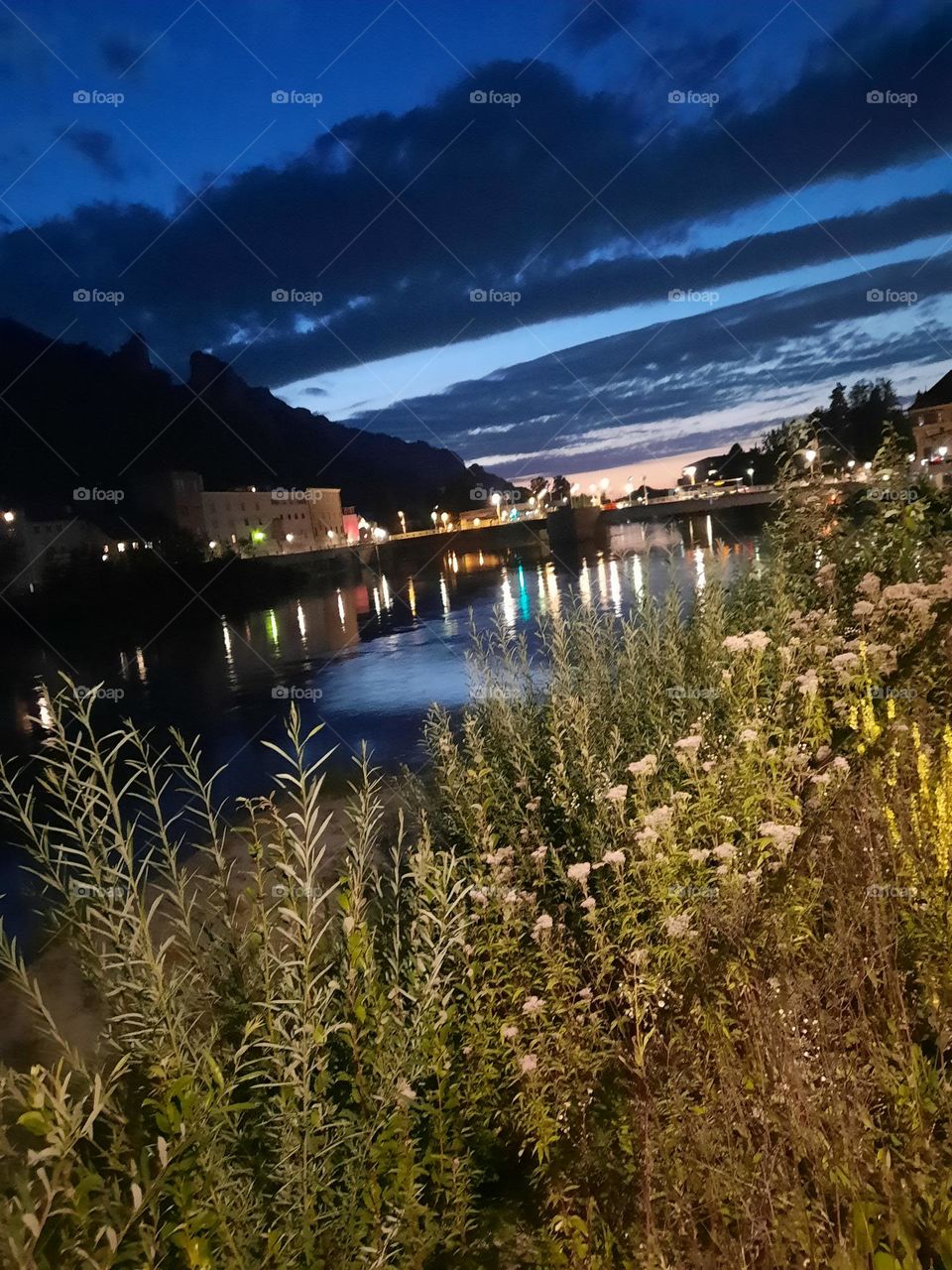 Abend Pflanzen Nacht Wasser