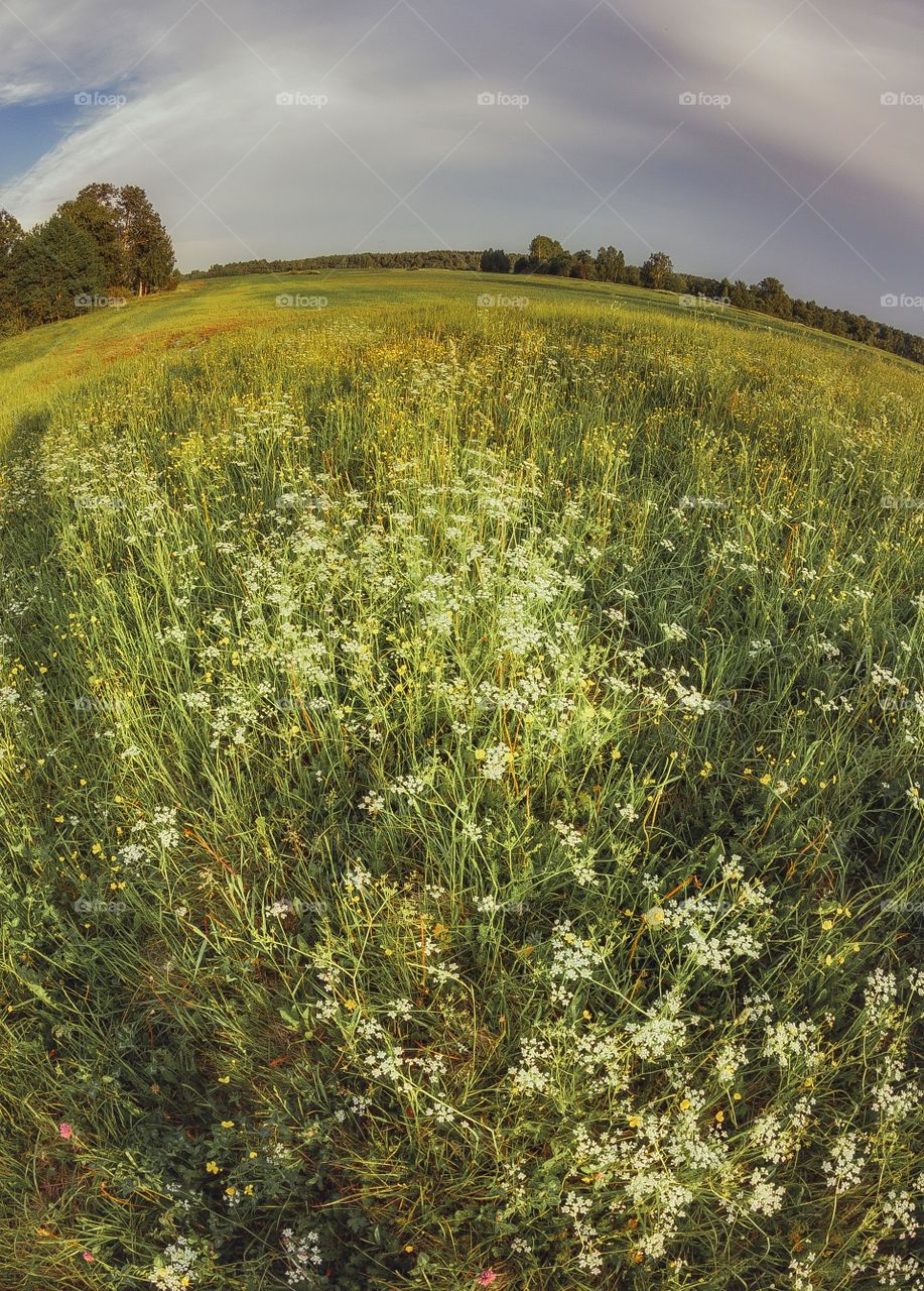 Evening landscape from fish-eye lens 