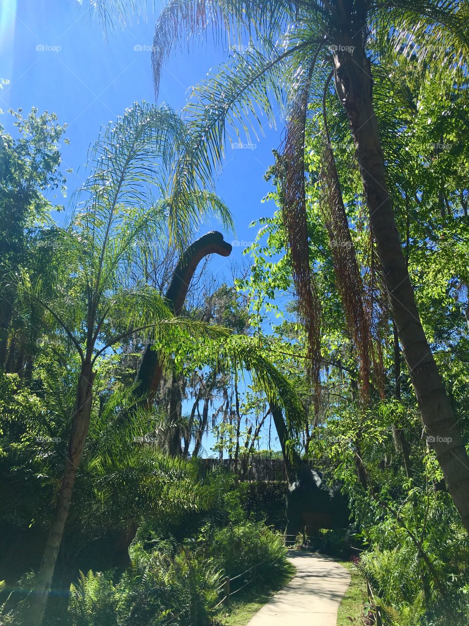 Dinosaur World