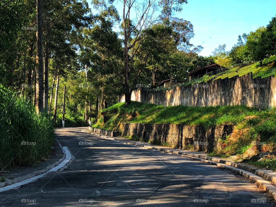 Not everything in São Paulo is concrete and steel. There are some places you can find beautiful roads among trees and nature, like this small road.