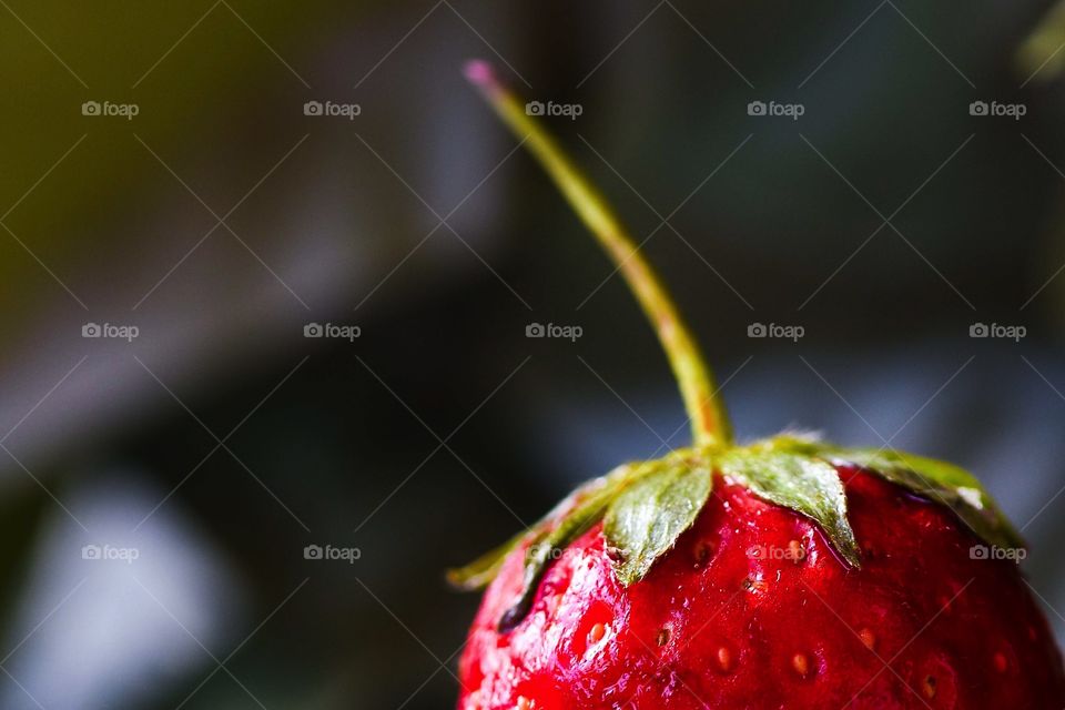 strawberry details