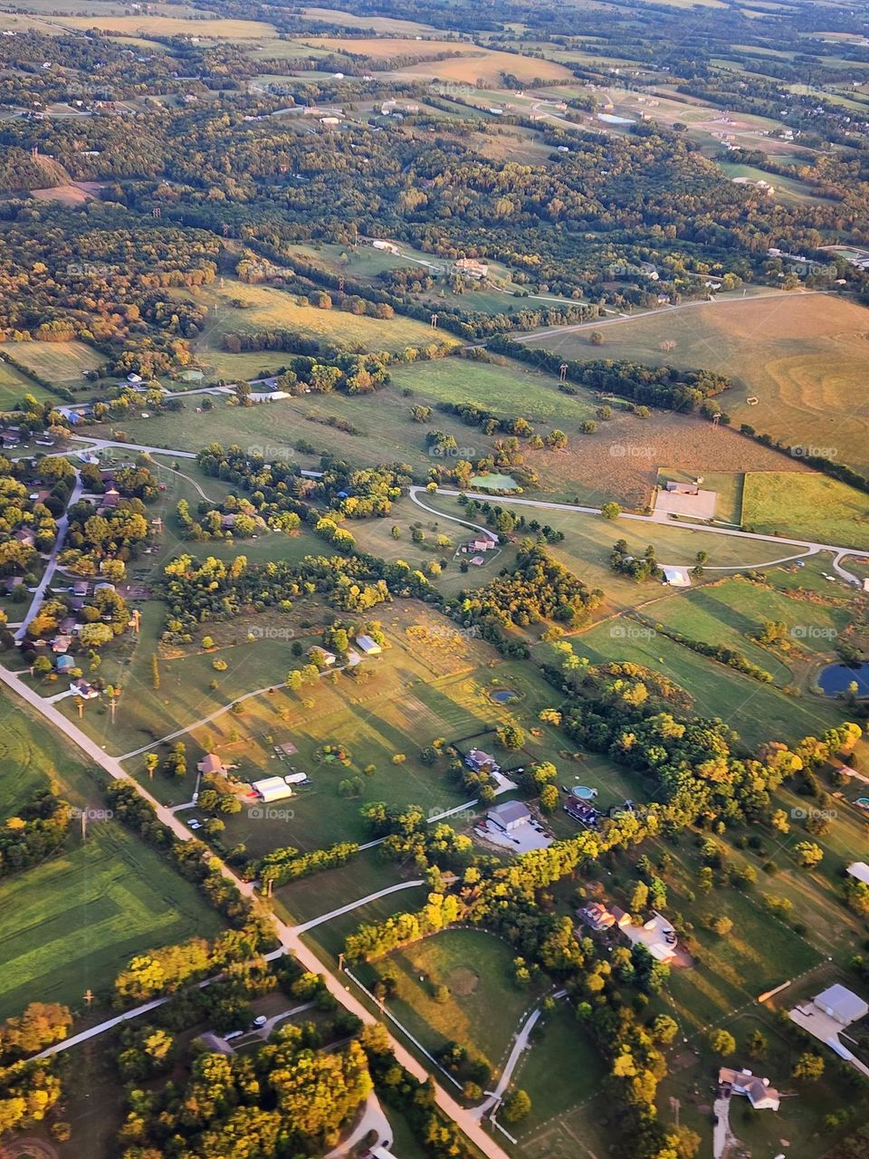 Sunset creates warm hues and long shadows on the ground