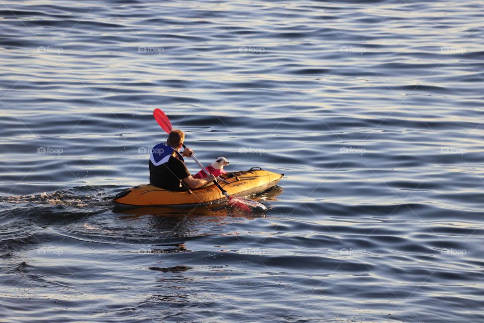 Kayaking with a dog