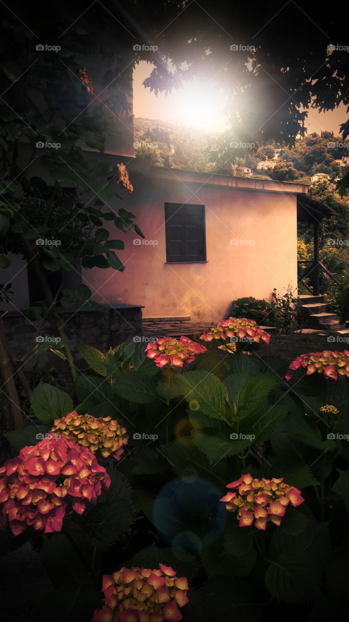 private garden with sunset view