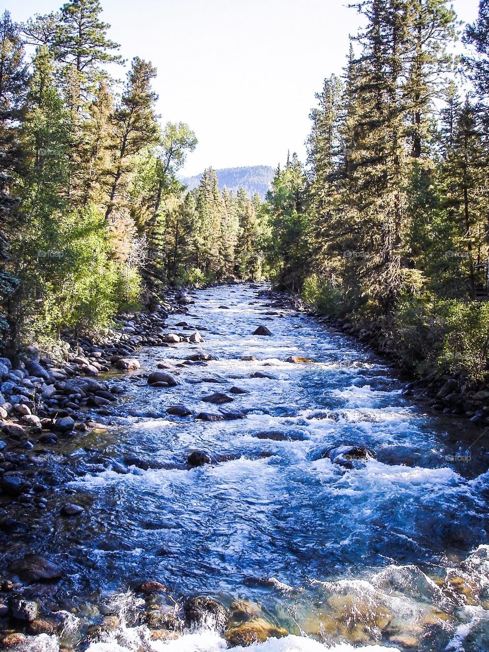 Colorado creek 2
