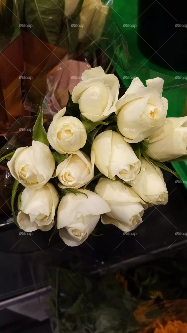 Blumen