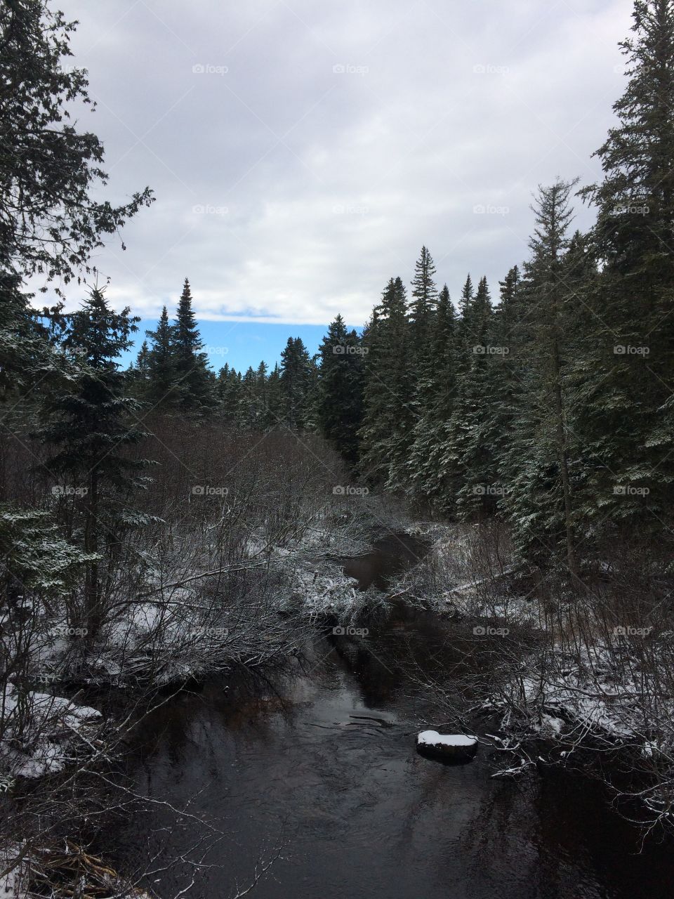 Brook in the woods after the first snow fall 