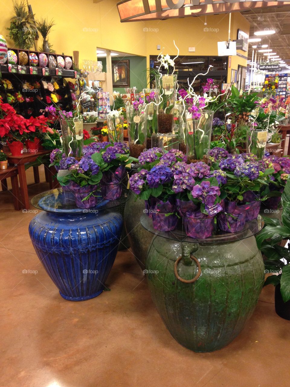 Big ol flower vases 