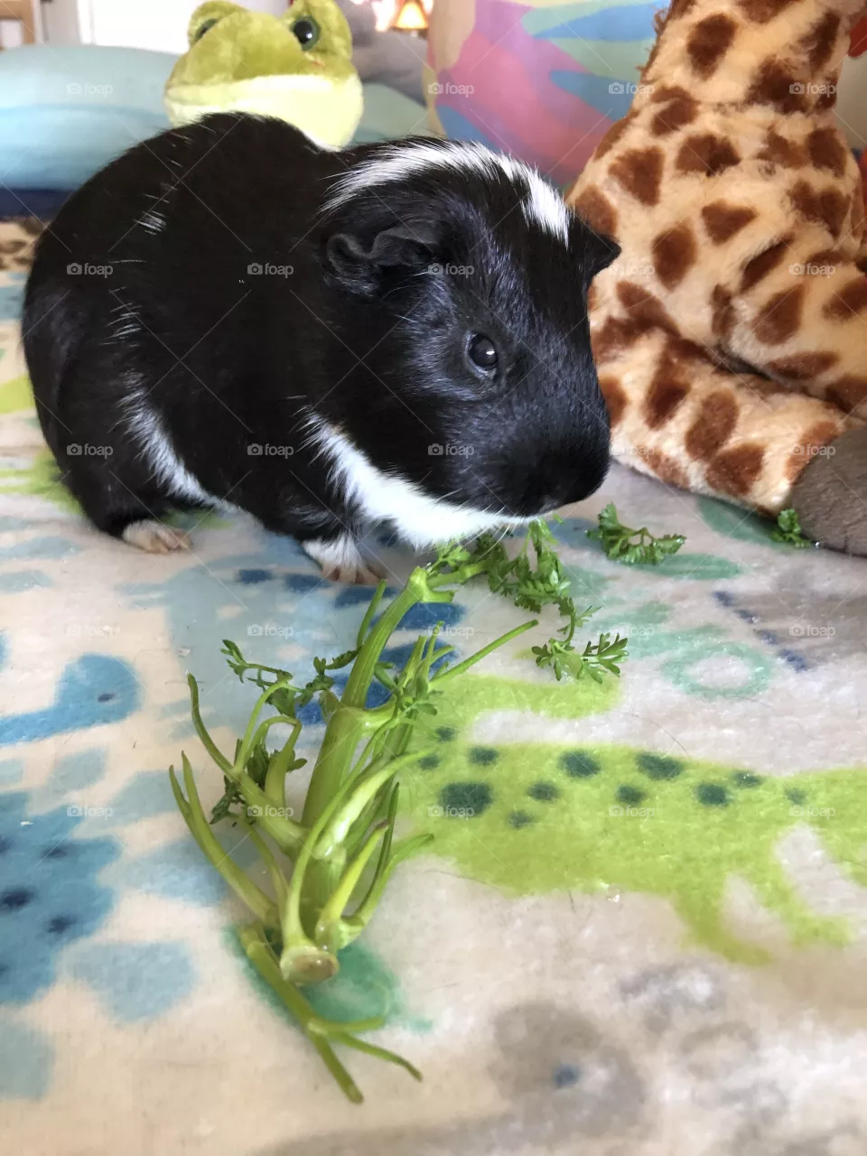 Little boy Timmy enjoying his veggies 