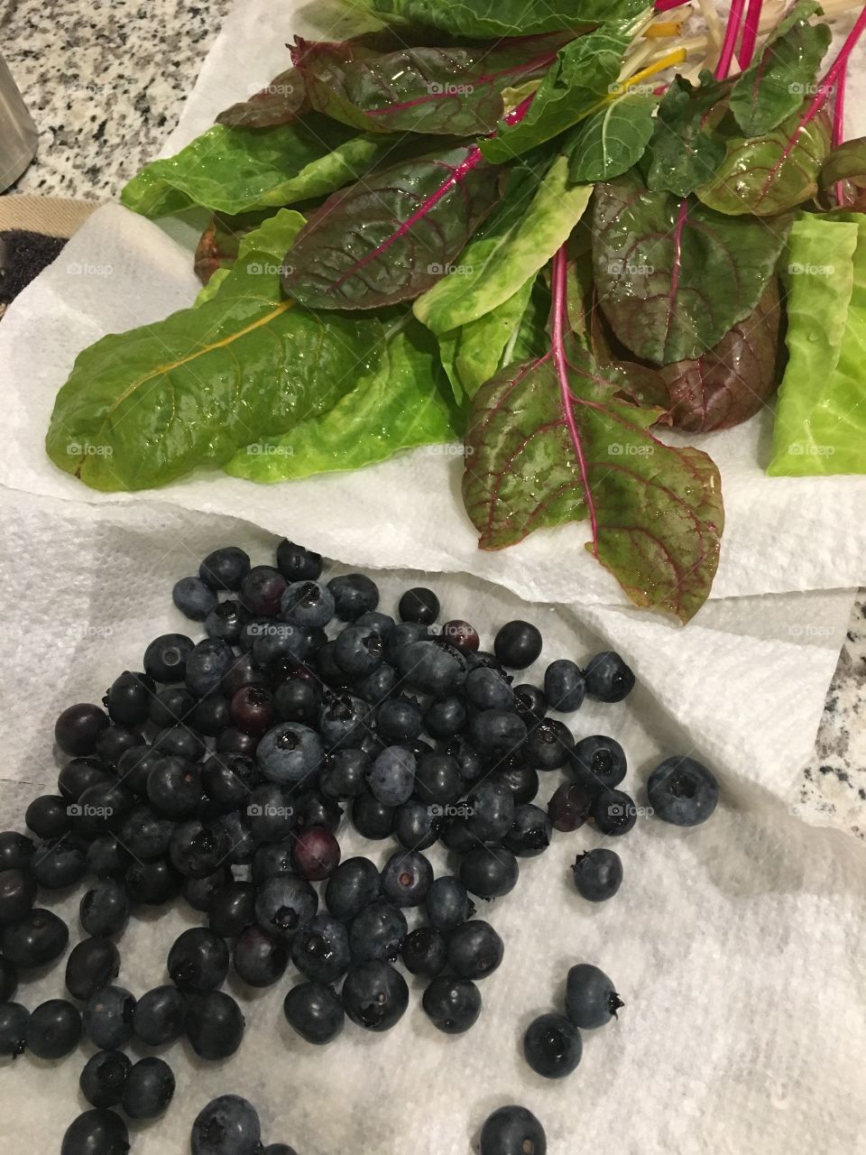 Freshly Washed Locally Grown Swiss Chard and Blueberries 