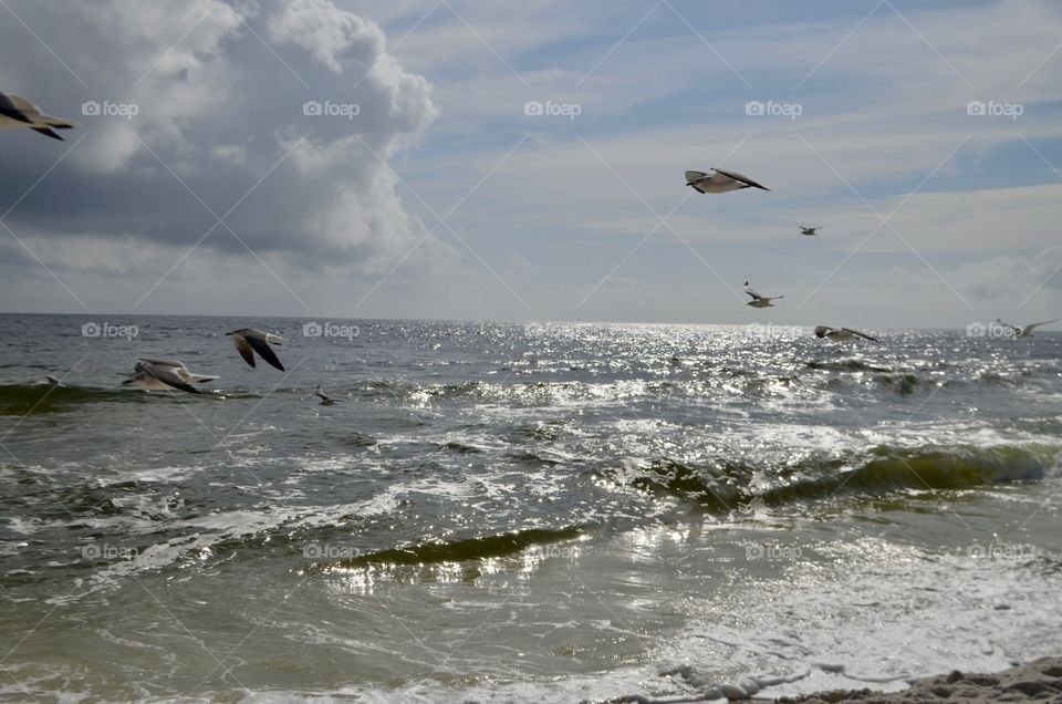 storm clouds ,over the ocean ,flock of birds flying over the ocean, rough Seas at the beach