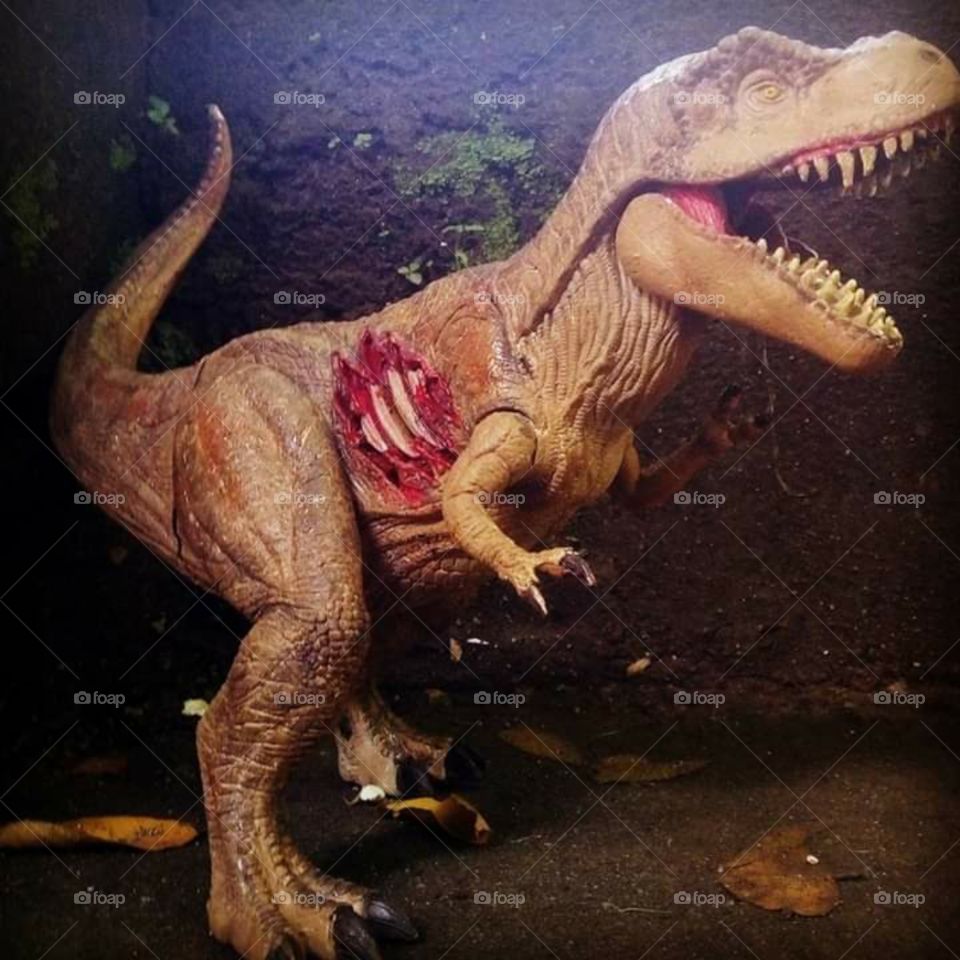 We tried repainting this old toy T-rex. And it looked much better and terrifying. And the background suits him well. 🤣 It's just outside the gate on the stone stairs. 🤣