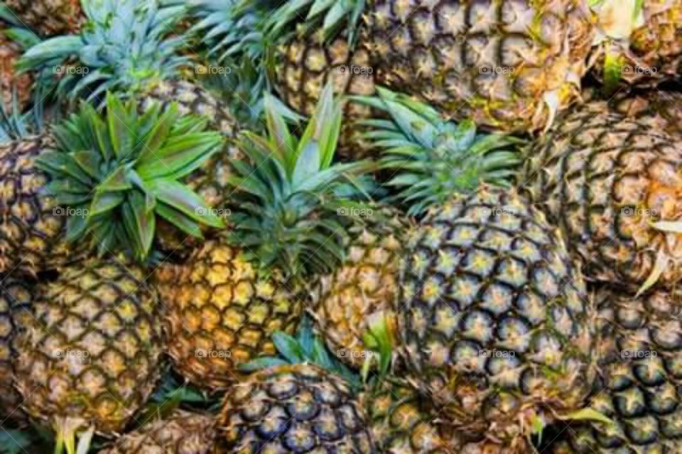 Fresh pineapples from Philippine.