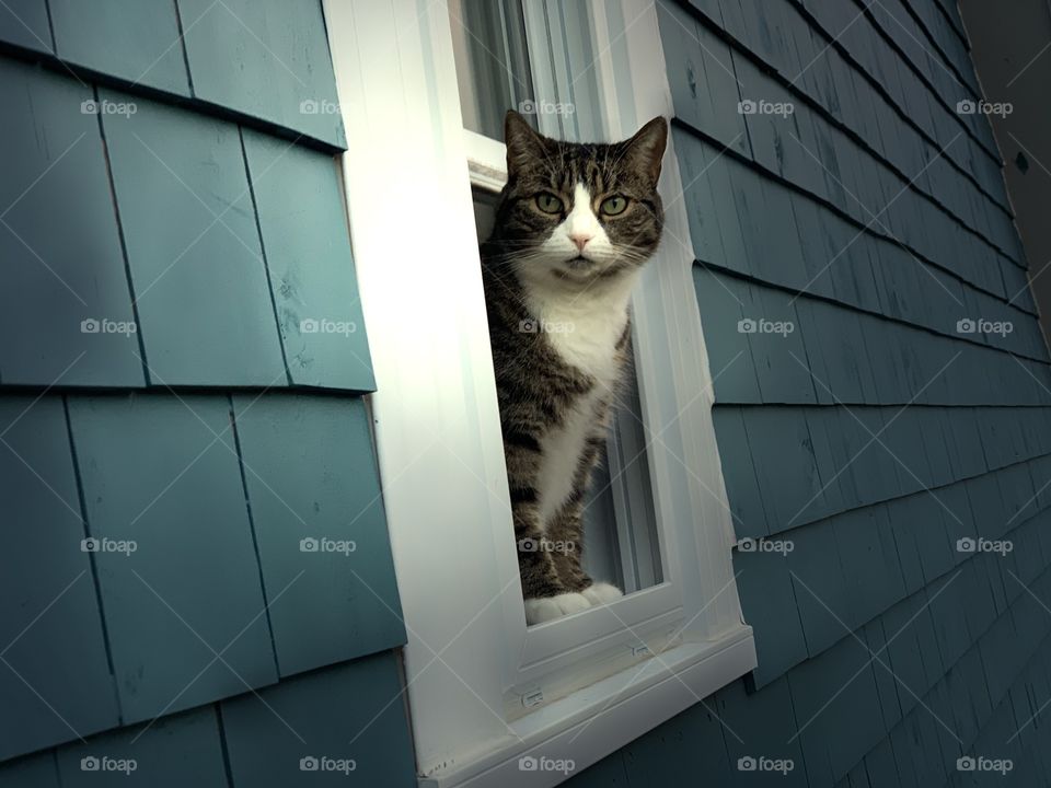 Uzuru means beautiful 