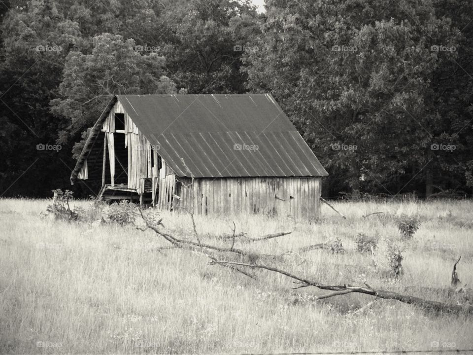 Old barn
