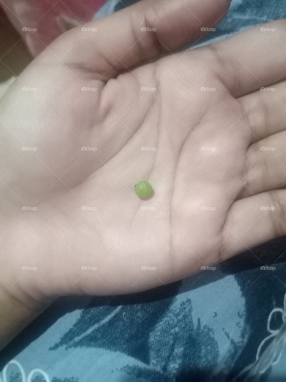 small grape in my hand