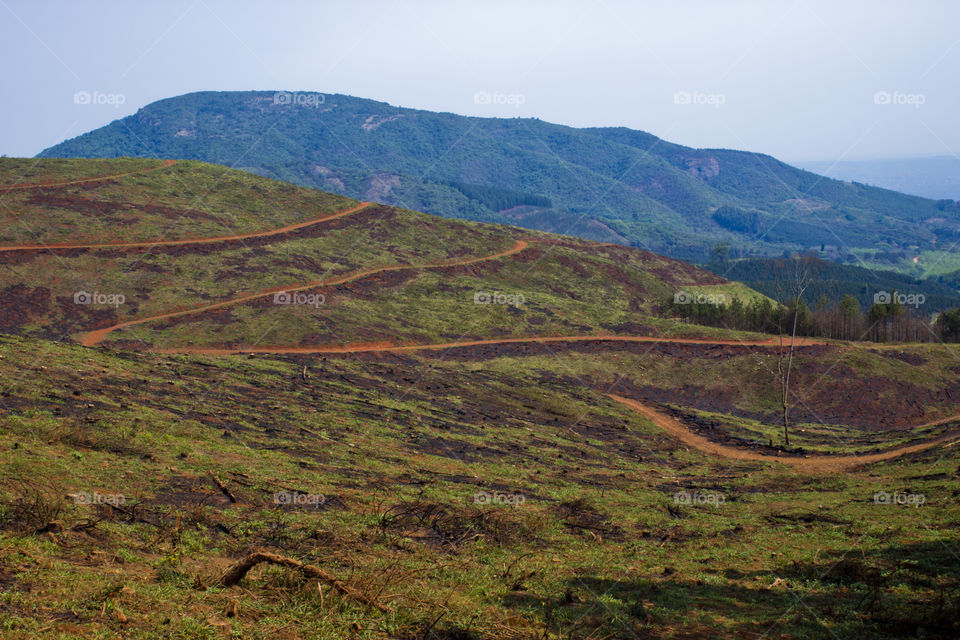 plantation roads on a mountain after the trees were cut down