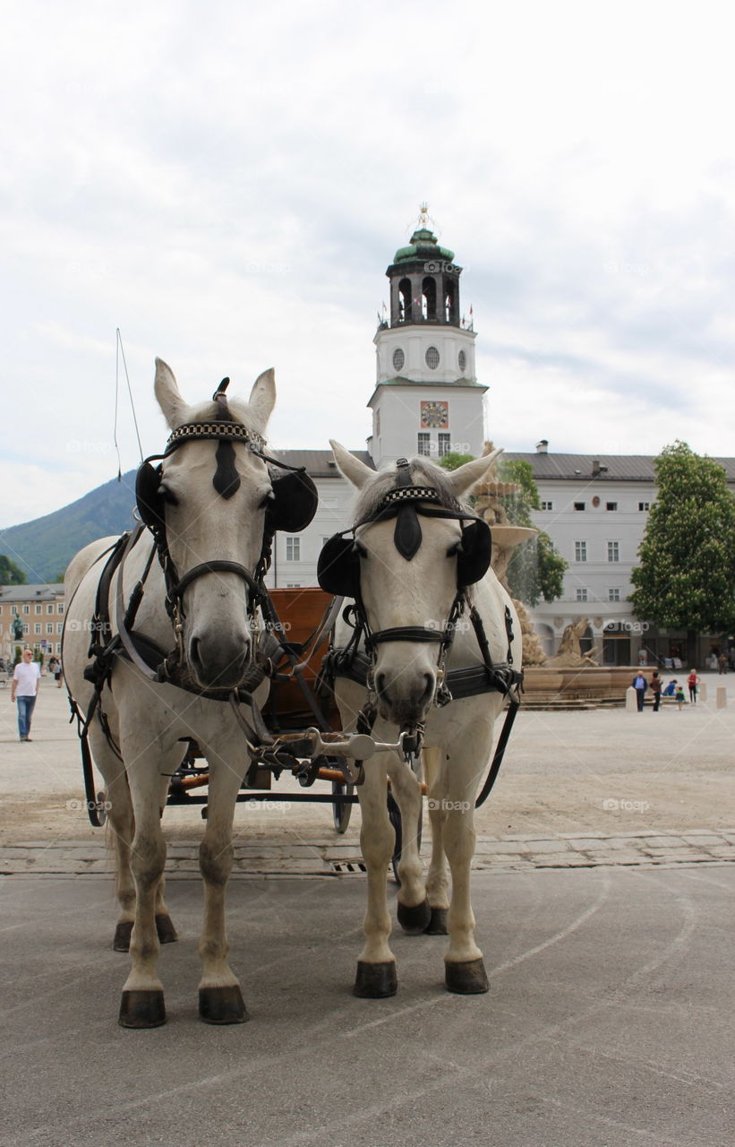 Horses and carriage in Sakzburg.