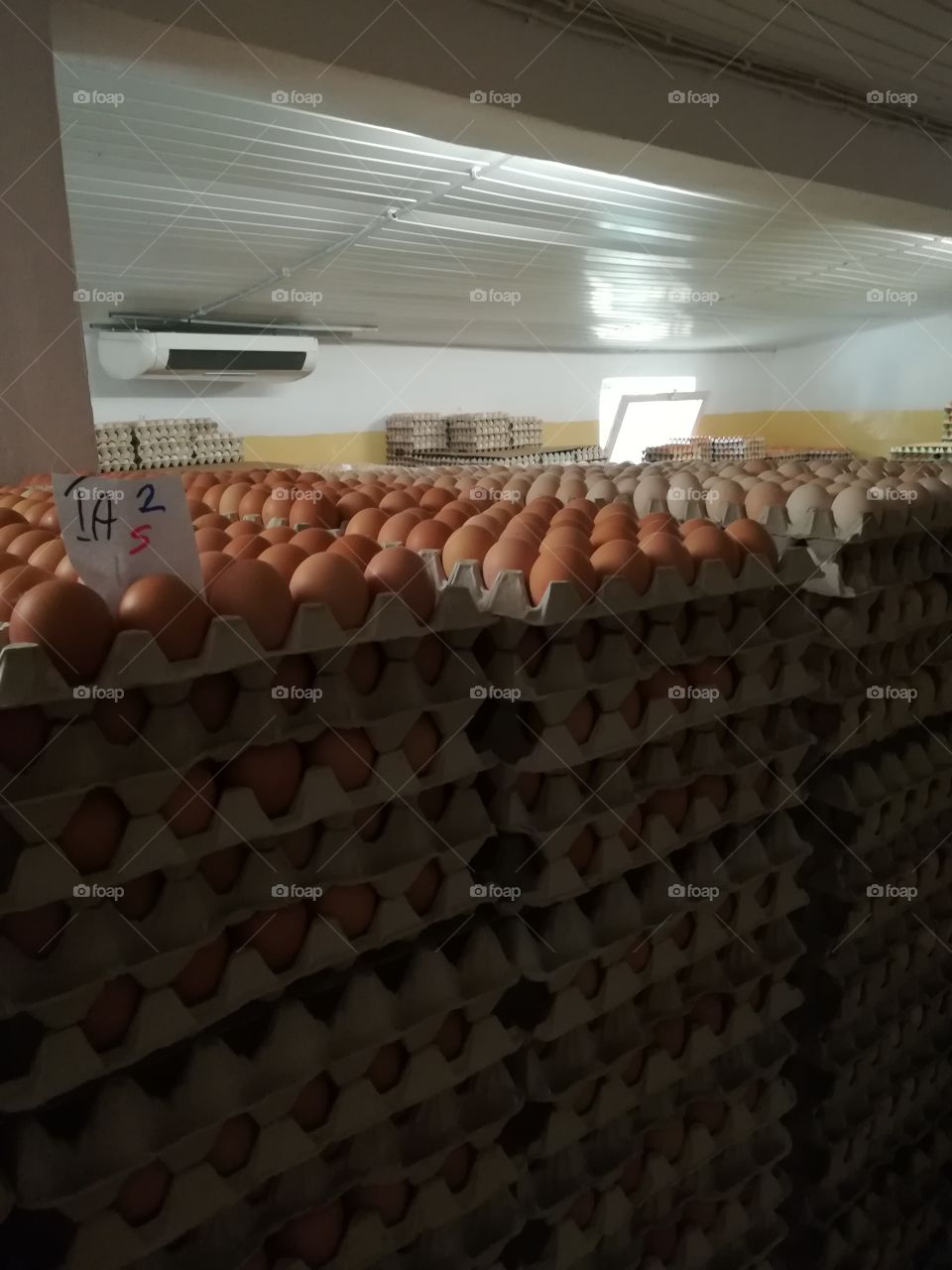 Fresh eggs