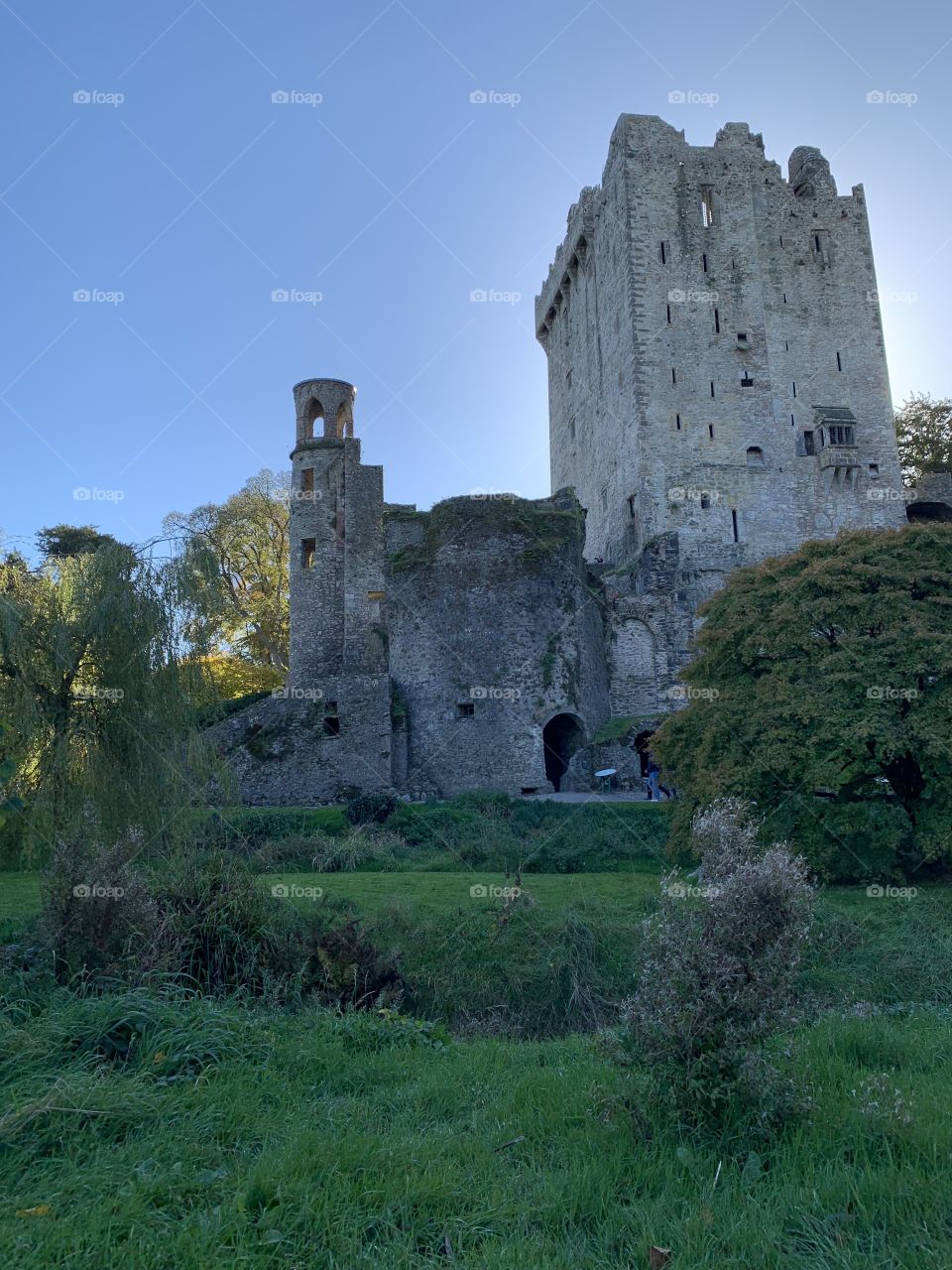 Medieval Castle 