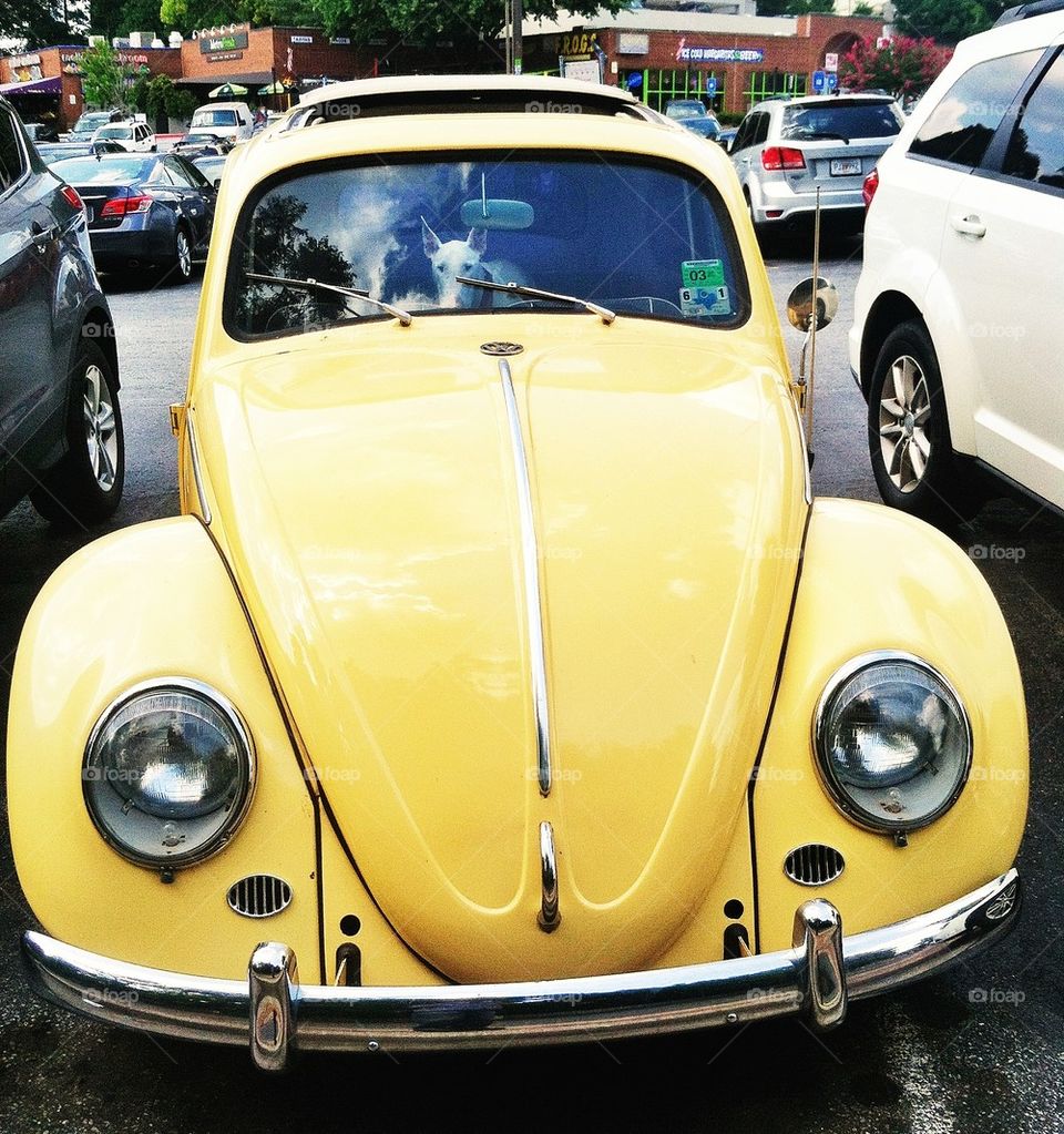 VW Bug Covertible