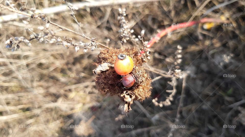 зимові фарби