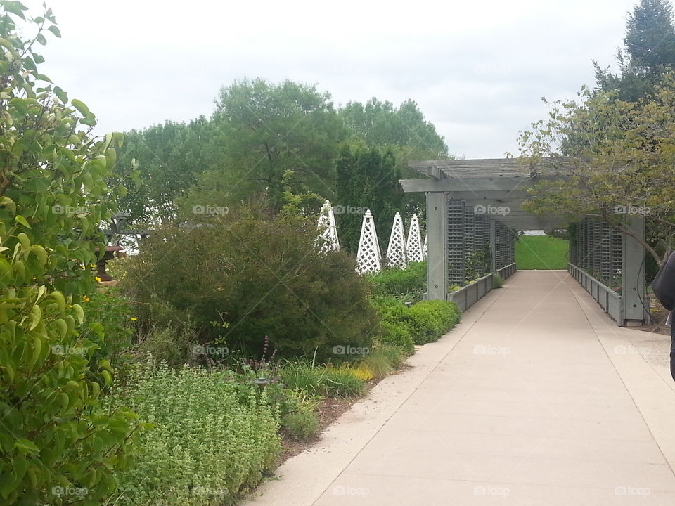 Under Nature Walkway