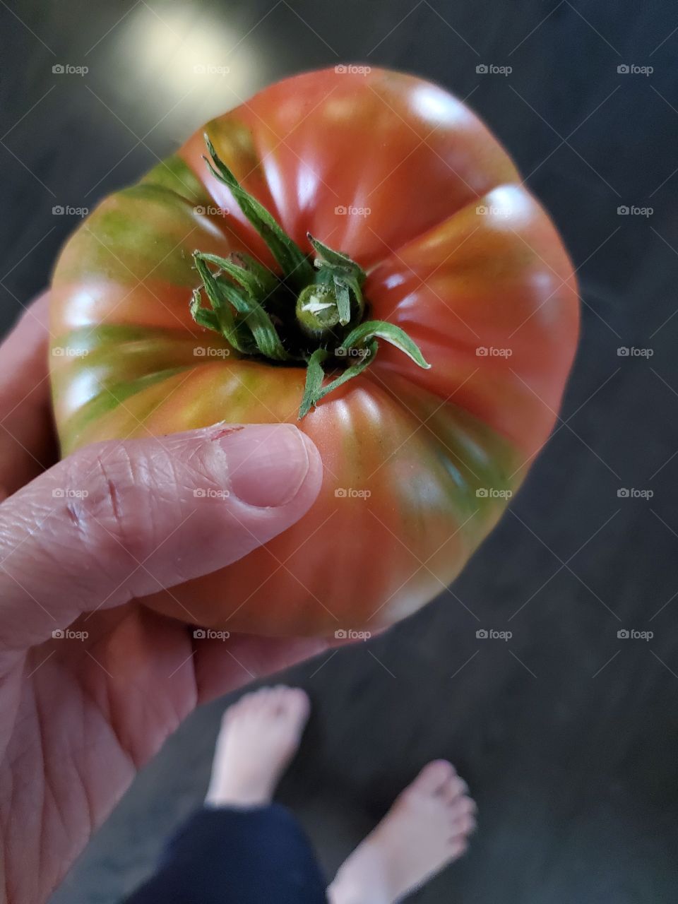 tomato