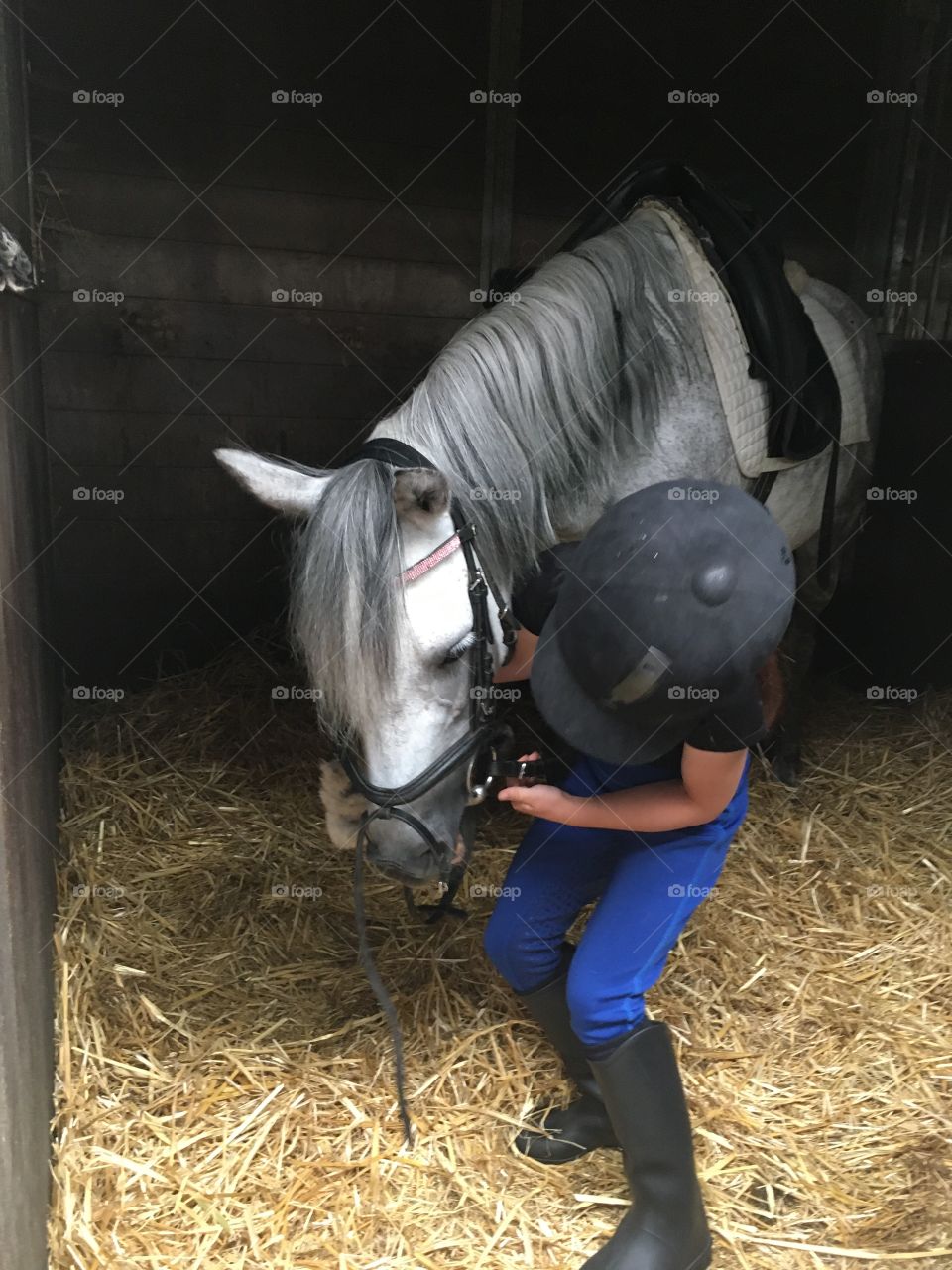 Ready for ride the horse 