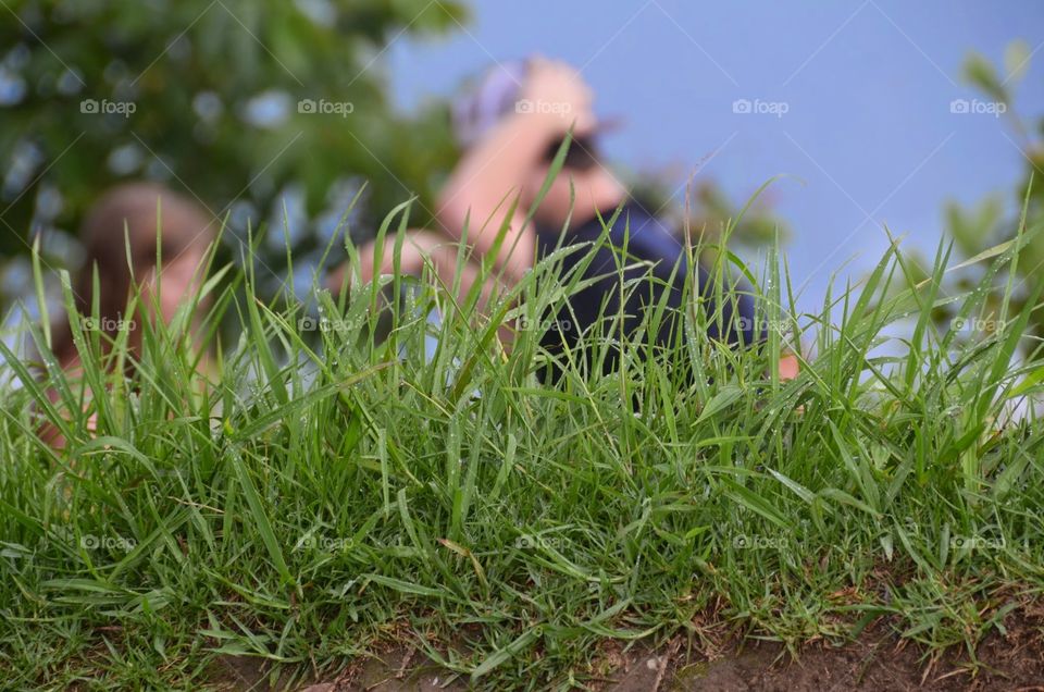 green grass and fresh dew