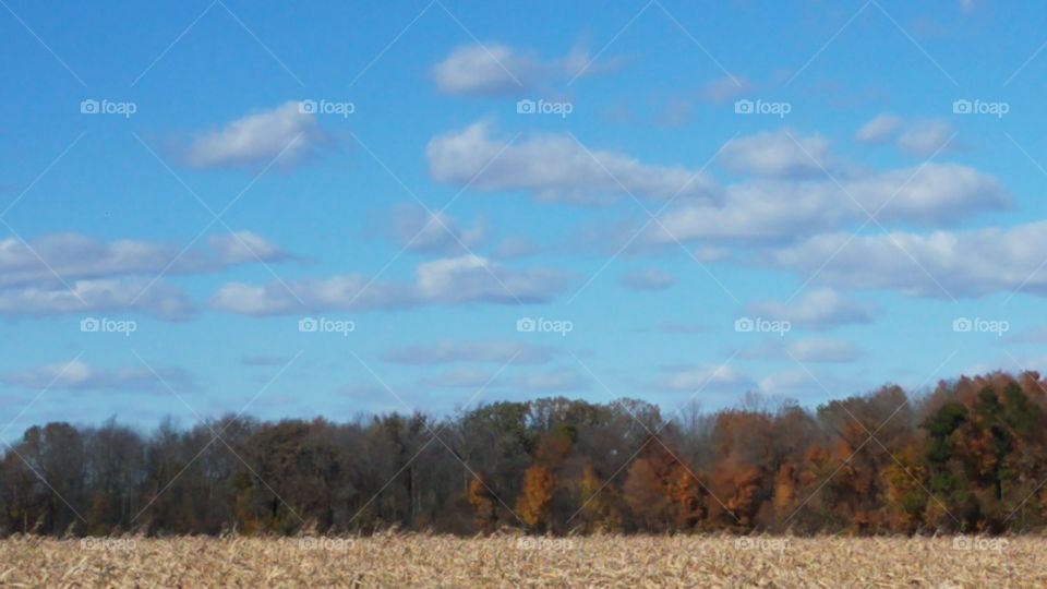 fall afternoon ride home