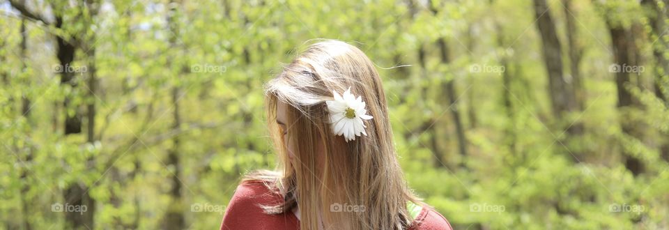 White Daisies are my Favorite