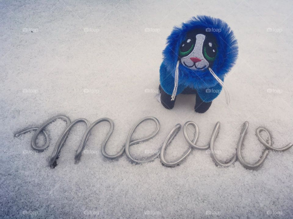 Winter is here, for humans and for our pets. Let’s keep our furry friends safe and warm. Meow!