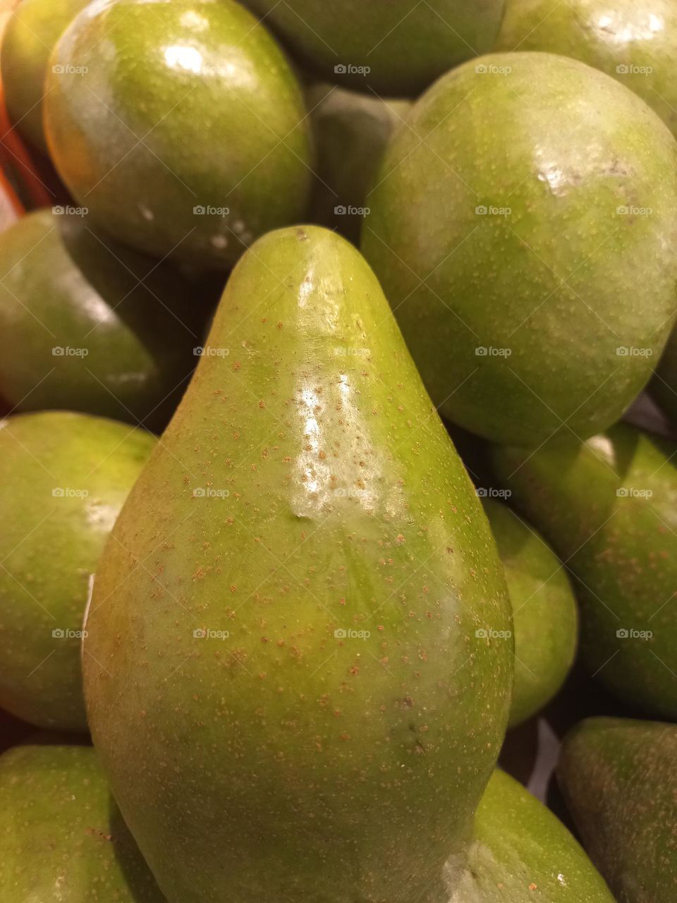 O abacate é uma fruta rica  em fitoesterois, provenientes das gorduras poli-insaturadas e monoinsaturadas, ajuda s evitar o risco de doenças  cardíacas, reduzindo o colesterol  total, os triglicerídros e o colesterol  ruim o LDL