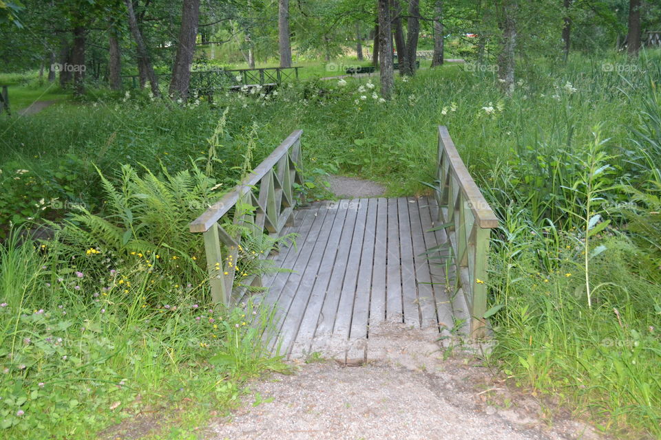 overgrown bridge