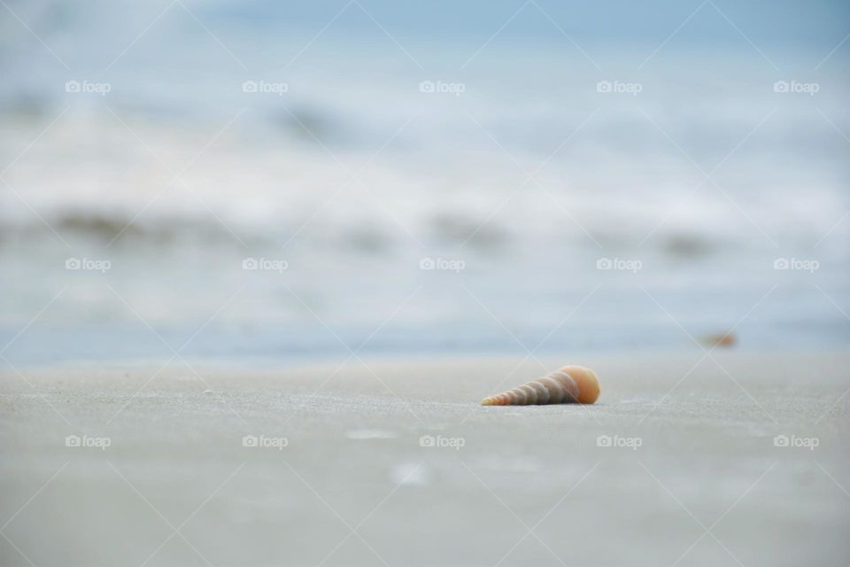 Shell alone