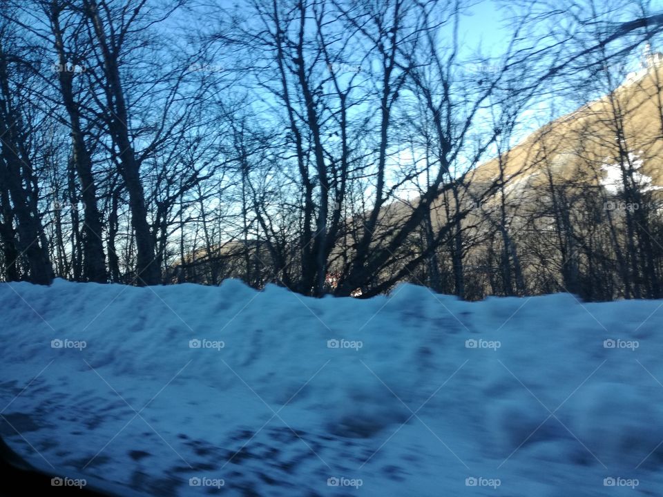 Mountain, trees and snow